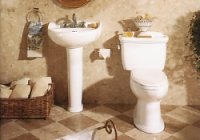 Garbage Disposal Replacement Edgewood WA - Drain Away Plumbing - Bath_1